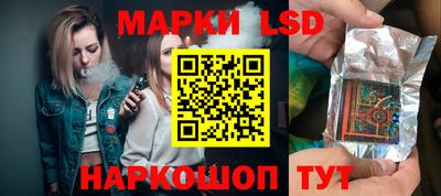 крисы Аргун