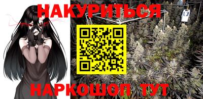 крисы Аргун
