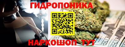 крисы Аргун