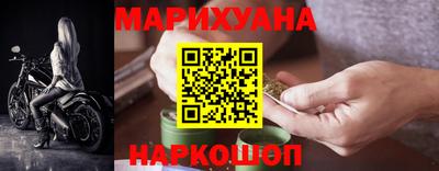крисы Аргун