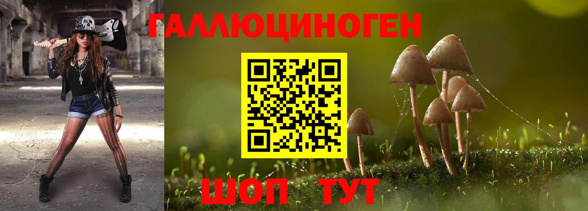 Бугульма  Псилоцибиновые грибы мицелий  Вход с VPN 